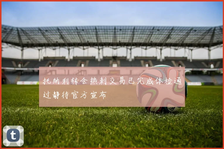 托纳利转会热刺交易已完成体检通过静待官方宣布